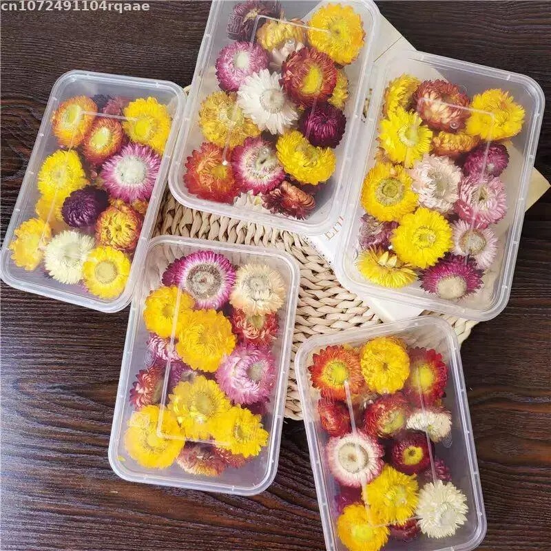 ดอกไม้แห้งธรรมชาติ 100% บรัคเท - Soap Making Material Wholesale บทวิจารณ์และราคา